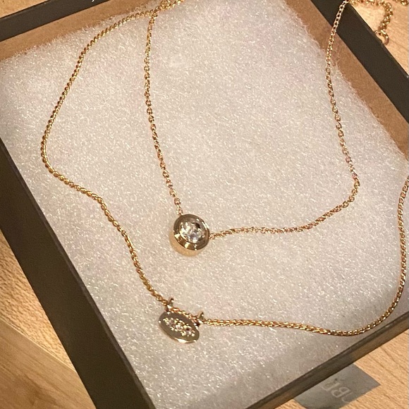 Banana Republic Almost Invisible Layering Necklace - Picture 3 of 13